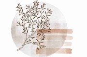 糖心tv高能事件TOP10，商业模式上分秘籍